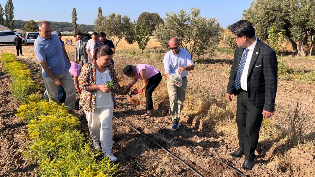 Toprağının verimi ve tarım ürünleriyle ünlü Çanakkale'ye bu kez bitki ekildi 7